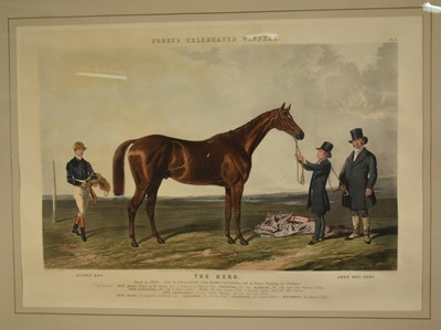 Lot 1221 - Mid 19th century hand coloured engraving by J. Harris after Barraud, 'The Hero', from Fore's Celebrated Winners, published 1847, 56cm x 79cm, in glazed gilt frame