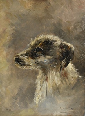 Lot 1214 - English School, early 20th century, oil on canvas - portrait of a terrier, indistinctly signed, dated 1910, 29cm x 22cm, presented on a table top easel