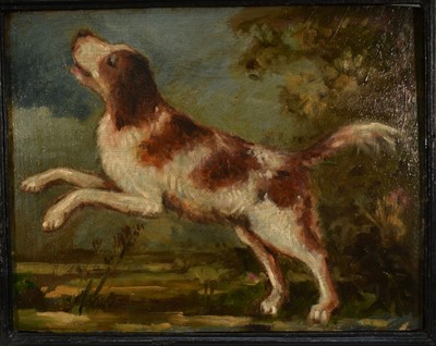 Lot 1211 - English School, oil on panel - A Spaniel, 22.5cm x 28cm, in ebonised frame
