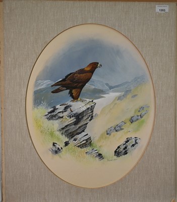 Lot 1203 - *David Orr Kerr (b.1951) watercolour and bodycolour - A Golden Eagle, signed, 48cm x 38cm, mounted