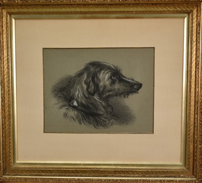 Lot 1202 - After Edwin Landseer (1802-1873) charcoal portrait of a Deerhound, 23cm x 30cm, in glazed gilt frame