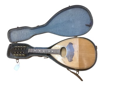 Lot 2211 - Mandolin in case