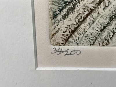 Lot 120 - Glynn Thomas (b.1946) limited edition etching - Pulteney Bridge, Bath, signed titled and numbered 34/200, 29cm x 20cm, in glazed frame