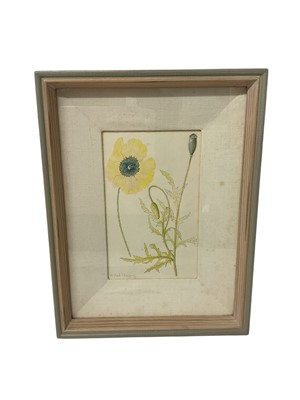 Lot 1042 - *Richard Chopping, watercolour, Yellow poppy