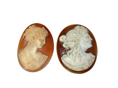 Lot 135 - Two Italian carved shell cameos, both depicting classical female busts, unmounted