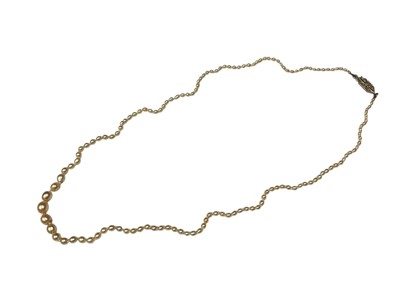Lot 144 - Pearl necklace with a single string of graduated pearls (not tested for natural origin) on a diamond set clasp, 48cm long