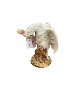 Lot 751 - 19th century porcelain cockatoo by Voight Brothers of Sitzendorf
