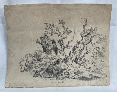 Lot 236 - Attributed to John Joseph Barker of Bath (1824-1904), graphite study inscribed in ink “Oak Stumps”, inscribed verso “John Barker of Bath”, 22cm x 28cm, unframed