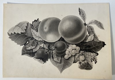 Lot 140 - Early 19th century monochrome study, still life of fruit, watercolour on wove paper. Unframed. 17.5cm x 25cm