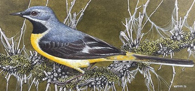 Lot 210 - Michael Warren, English, b.1938. Ornithological study of a Grey Wagtail, watercolour on paper, signed and dated ‘73. The Moorland Gallery Ltd, London, label verso. 9 x 18.5cm excluding frame