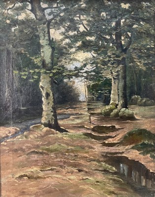 Lot 115 - 19th century oil on canvas, woodland walk with trees, 51 x 40cm excluding frame