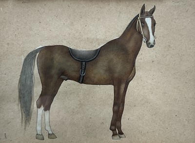 Lot 207 - Indian Company School, watercolour on paper of a Akhal Teke horse. 14 x 19cm excluding frame