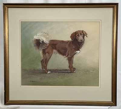 Lot 116 - Peter Allis (born 1944) watercolour portrait of a dog, 36cm x 44cm in glaze gilt frame.