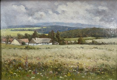 Lot 6 - 20th Century Continental School oil on board - Czech landscape, signed and dated ‘95, label verso, 25cm x 36cm, framed