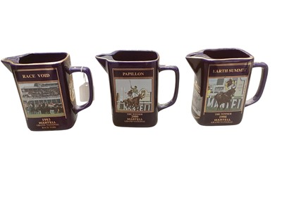 Lot 1245 - Collection of thirteen limited edition Martell Grand National jugs