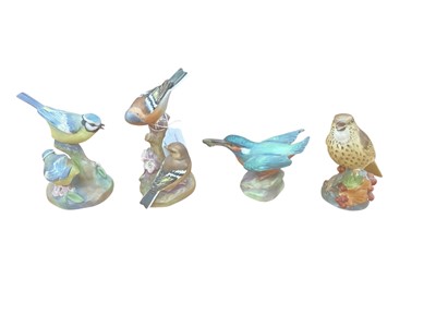 Lot 1252 - Collection of seventeen Royal Worcester bird ornaments including kingfisher no. 3235, blue tits no. 3375, chaffinches no. 3364, bullfinch no. 3238 etc.