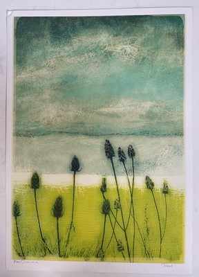 Lot 28 - Keri Valentine (Contemporary) double sided print - Teasel, signed and titled to one side, 39cm x 27cm, unframed