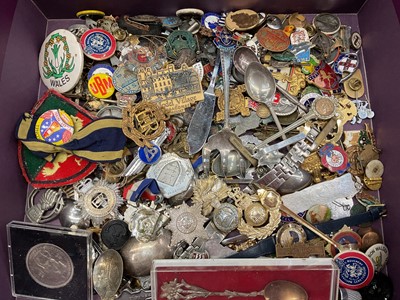 Lot 213 - Lot old enamel lapel badges, sundry badges and bijouterie