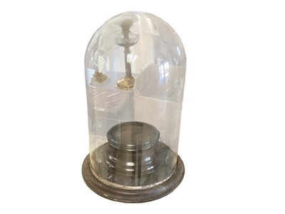 Lot 2511 - Victorian glass display dome on turned wood base 38cm high