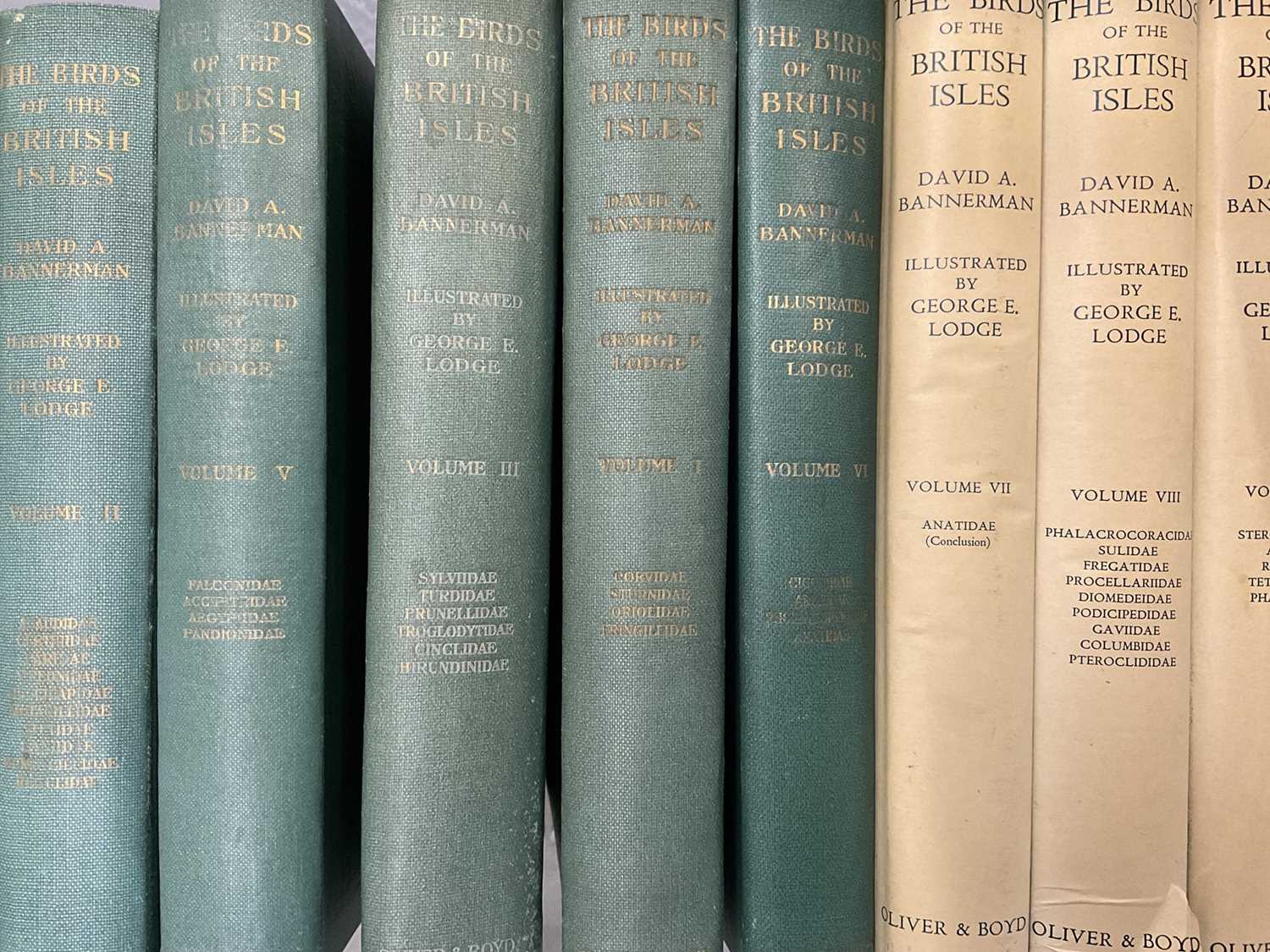 Lot 1608 - 'The Birds of the British Isles'. David A. Bannerman. Illustrations George E. Lodge. Published Oliver & Boyd. 12 volumes, 1953 first edition