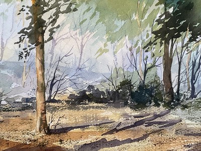 Lot 163 - Winnie Hanrahan, pair of watercolours - Rural Landscapes, signed, 35cm x 54cm, in glazed gilt frames