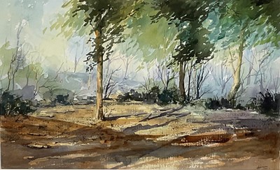 Lot 163 - Winnie Hanrahan, pair of watercolours - Rural Landscapes, signed, 35cm x 54cm, in glazed gilt frames