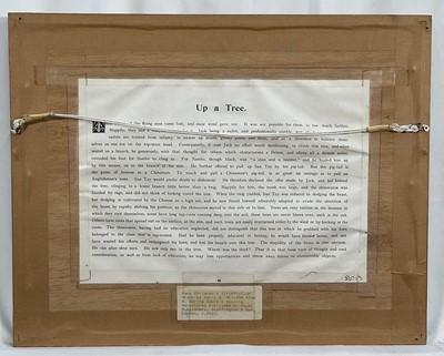 Lot 171 - Set of four early 20th century illustration prints from Harry B. Neilson's and S. Baring Gould's book, 'Amazing Adventures', each titled verso with text from the book, 18cm x 27cm, in glazed fra...