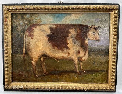 Lot 234 - English School, oil on panel - Prize Bull, 21cm x 30cm, in gilt and ebonised frame