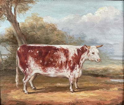 Lot 243 - English School oil on canvas laid on wood board - A Prize Bull, 20cm x 24cm, I carved wooden frame.