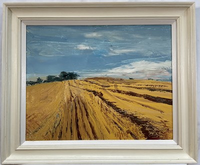 Lot 1095 - David Porteous-Butler (b.1945) oil on canvas - Harvest Field, initialled, signed and titled verso, 40cm x 50cm, in painted frame
