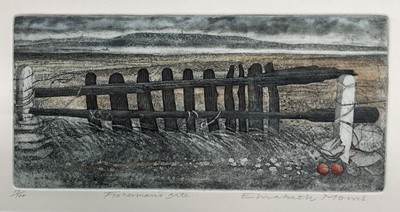 Lot 1152 - Elizabeth Morris (contemporary) limited edition etching - Fisherman's Gate, 17/100, 19cm x 34cm, in glazed frame