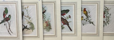 Lot 109 - Group of six John Gould bird prints, each titled, mounted 57cm x 44cm