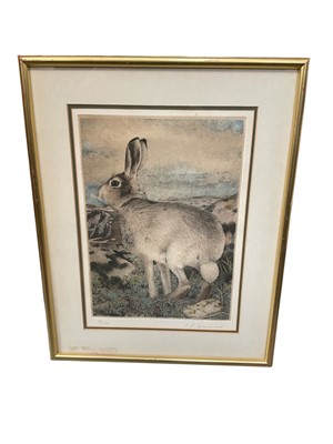 Lot 812 - Timothy Greenwood (b. 1947) etching - Mountain Hare, signed and numbered, plate 27 x 20cm, Mall Galleries label verso, glazed frame, together with six further etchings by thw