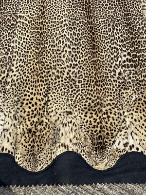 Lot 911 - Large Rowland Ward of London preserved Leopard pelts wall hanging, label to backing, 239cm x 222cm