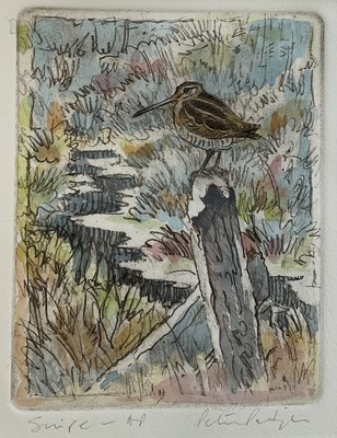 Lot 1170 - Peter Partington (b.1941) signed coloured etching - Snipe, 20cm x 16cm, in glazed frame. Provenance: the artist's studio
