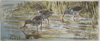 Lot 1169 - Peter Partington (b.1941) signed coloured etching - Redshank, 12.5cm x 28cm, in glazed frame. Provenance: the artist's studio