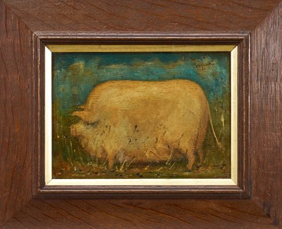 Lot 1348 - English School oil on panel - A Prize Pig, inscribed Suffolk, 16cm x 23cm, in oak frame
