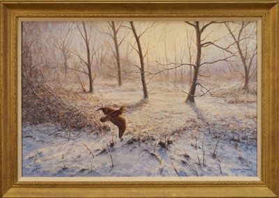 Lot 1236 - Julian Novorol (b.1949) oil on canvas - Woodcock Through the Wood, signed and dated 1994, 51cm x 76cm, in gilt frame