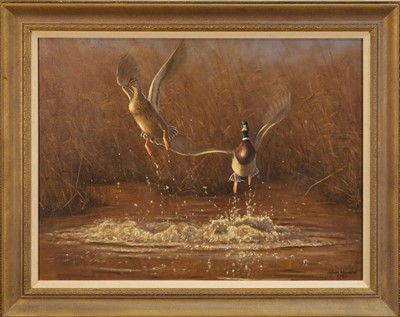 Lot 1239 - Julian Novorol (b.1949) oil on canvas - Out of the Reeds, signed and dated 1999, 46cm x 61cm, in gilt frame