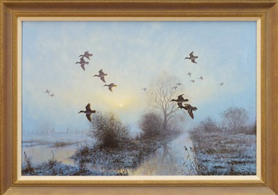 Lot 1245 - Julian Novorol (b.1949) oil on canvas - Wigeon over the Ouse Washes, signed and dated 2001, 51cm x 76cm, in gilt frame