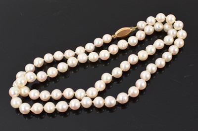 Lot 561 - Cultured pearl single strand necklace with an oval yellow metal clasp, 66cm long
