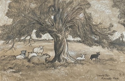 Lot 1255 - Major Richard ‘Dick’ Heseltine M.C. (1914-2012) pencil, ink and pastel on paper - 'Family Tree, Assington Park', initialled and titled, 28cm x 43cm, in glazed frame