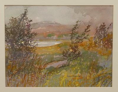 Lot 1285 - *John O'Connor (1913-2004) watercolour - West County Clare, signed, 25cm x 33cm, in glazed frame