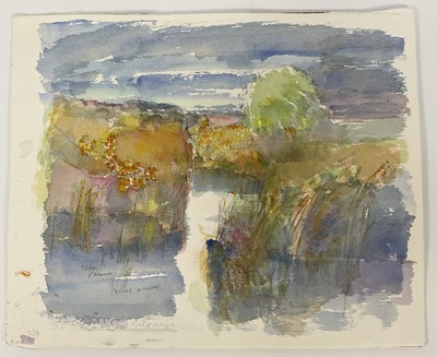 Lot 1289 - *John O'Connor (1913-2004) watercolour - Young Willows, 2002, signed, 37cm x 46cm, unframed