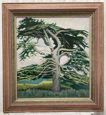 Lot 248 - Rosalie de Meric (1916-1999), oil on canvas, Cedar at Henham, 54.5cm x 49.5cm, in wooden frame.