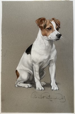 Lot 130 - Victoria Fontaine-Wolf, pastel, portrait of a Jack Russell, 'Stella', 50cm x 32cm, signed, unframed.