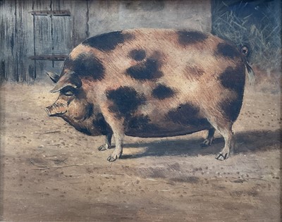 Lot 132 - English School oil on board, A Prize Pig in a Sty, 24cm x 30.5cm, in glazed frame.