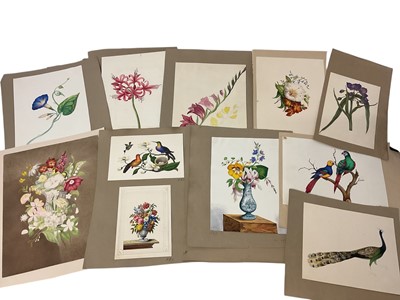 Lot 932 - Sophia Katherine Charleton (1789-1844) group of fourteen watercolour studies of flowers and birds, each inscribed to the mount with initials, one inscribed 'Aunt Sophia', 19 x 17cm and smaller