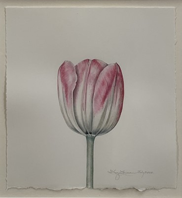 Lot 121 - Kay Lawson (contemporary) - watercolour of a tulip, 14cm x 13cm, signed and dated 2000, in glazed frame