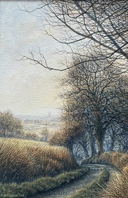 Lot 34 - Michael Pettersson (b. 1939) watercolour landscape, signed and dated, 25cm x 16cm, glazed frame